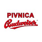 434428720_807360141418034_817641547341943024_n